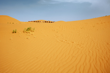 China yinchuan descending sand lakes sceneryの写真素材