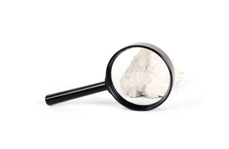 this photo shows a magnifying glass and an increased stoneの写真素材