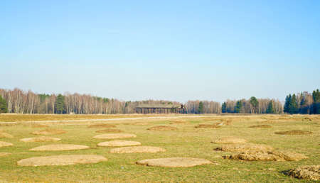 landscape in the autumn field and piles of manureの写真素材