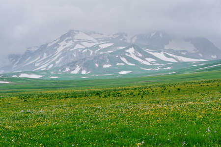 Summer landscape with green grass, mountains and cloudsの写真素材