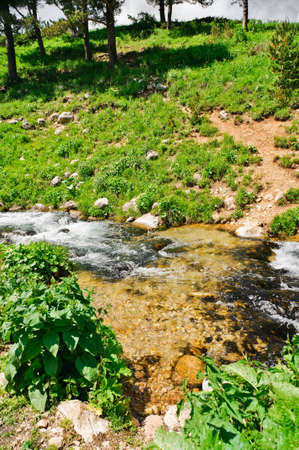 Summer landscape with green grass, mountains and riverの写真素材