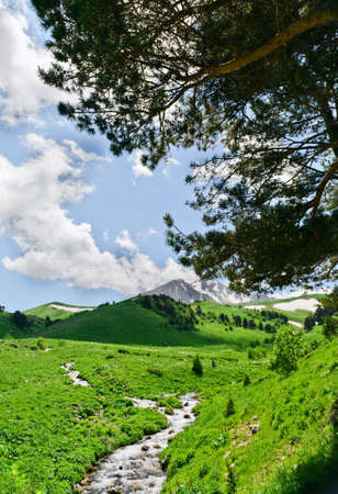 Summer landscape with green grass, mountains and riverの写真素材