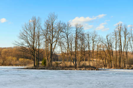 Spring lake sunset and tree in Russiaの写真素材