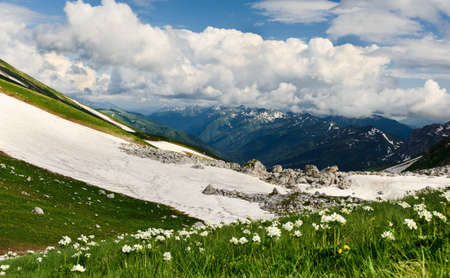snow and flowers in the North Caucasus mountains. Russia.の写真素材