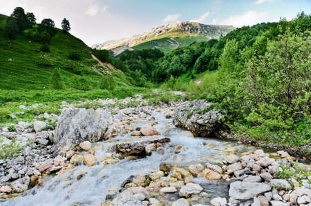 river and grass in the North Caucasus mountains. Russia.の写真素材