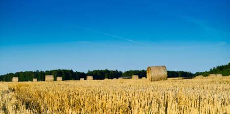 autumn field of haystacks in the Moscow region. Russiaの写真素材