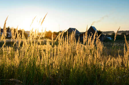 home in the sun at sunsetの写真素材