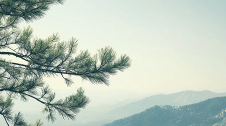 A tranquil mountain landscape showcasing soft light filtering through pine branches. This scenic view invites peace and reflection, perfect for nature lovers.の素材