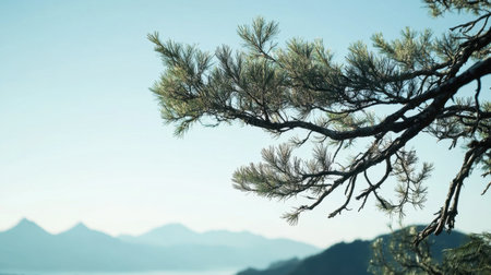 A serene pine branch gracefully frames a soft mountain landscape, capturing the tranquility of nature. The scene evokes a sense of peace and exploration.の素材