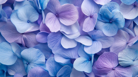 A close-up view of soft blue and purple hydrangea petals creating a delicate and vibrant background. Perfect for nature-themed designs or floral decor.の素材