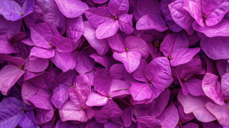 A stunning close-up of purple flower petals showcasing vibrant colors and delicate textures. Ideal for nature-themed projects or designs seeking visual elegance.の素材