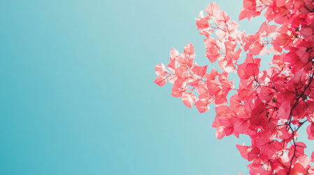 A stunning view featuring vibrant pink leaves set against a clear blue sky, capturing the essence of spring and the beauty of nature in a tranquil setting.の素材