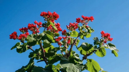 A stunning display of bright red flowers emerges against a clear blue sky, showcasing nature's beauty and vibrancy in full bloom. Ideal for nature enthusiasts and botanical themes.の素材