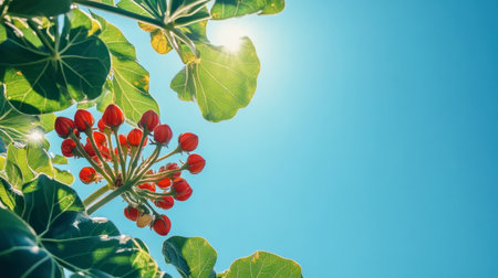 A stunning view of vibrant flowers and lush green leaves against a clear blue sky, capturing the essence of nature's beauty and serenity on a sunny day.の素材