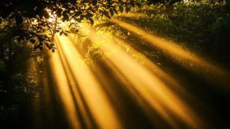 Beautiful sunlight rays filtering through lush green trees create a serene atmosphere in a tranquil forest setting, showcasing nature's vibrant beauty.の素材