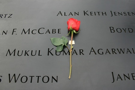 New York City, USA - September 17, 2011 - Flower left at the National 9/11 Memorial at Ground Zero.