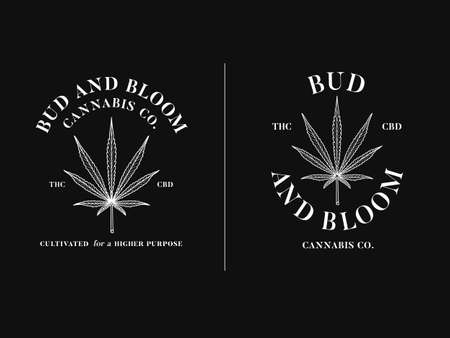 Sativa leaf bud and bloom vector graphic design white on a black backgroundのイラスト素材