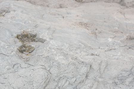Abstract cement floor texture backgroundの写真素材