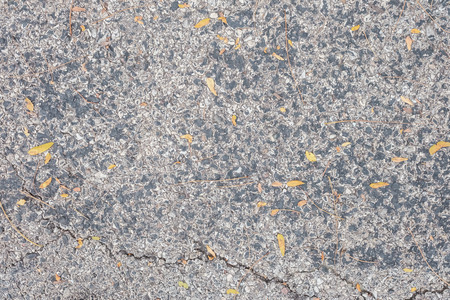 Abstract cement floor texture backgroundの写真素材