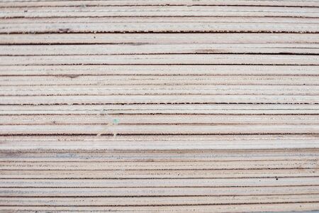 Abstract wood wall and floor backgroundの写真素材