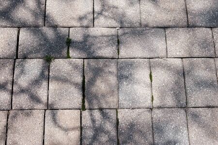 Stone floorの写真素材