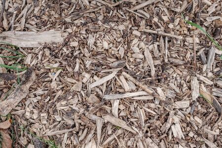 Bark wood chips backgroundの写真素材