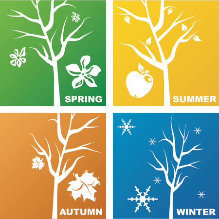 Four seasons representationのイラスト素材