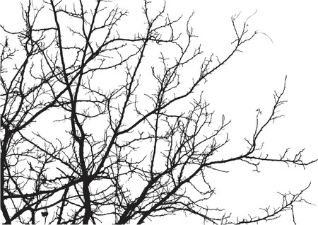 Silhouettes trees over white background. Colors and gradients can easily be added to backgroundのイラスト素材