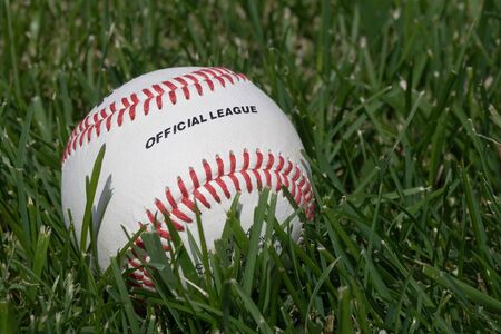 Official full grain leather cover baseball on the grassの写真素材