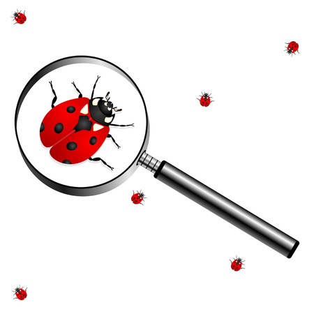 Magnifying glass with lady bugs over white backgroundのイラスト素材
