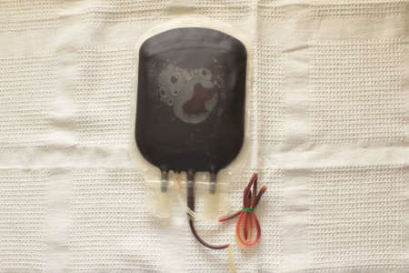 Bloodの写真素材