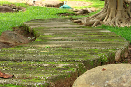 Texture of groundの写真素材