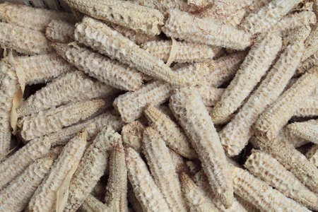 Texture of cornの写真素材