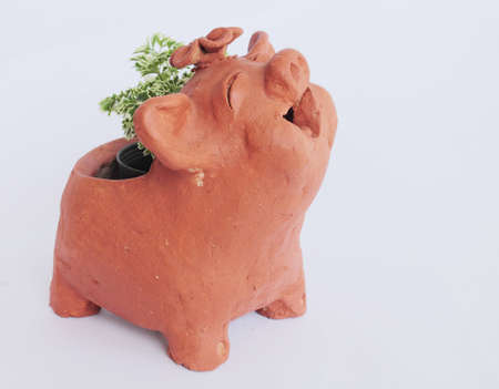 Jardiniereの写真素材