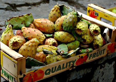 Prickly pear, cactus fruit, ready for selling in crate.の写真素材