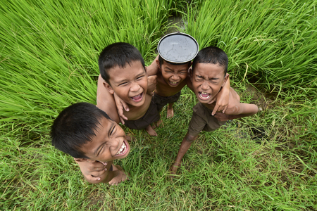 Happy Asian children farmer on green rice field, Thailandの写真素材