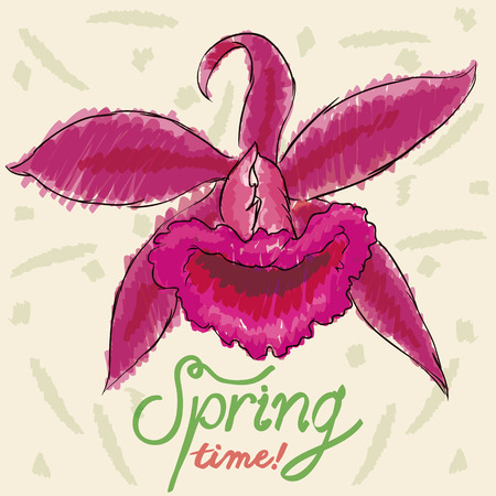 Sketch of a beauty orchid painted with markers for spring season.のイラスト素材