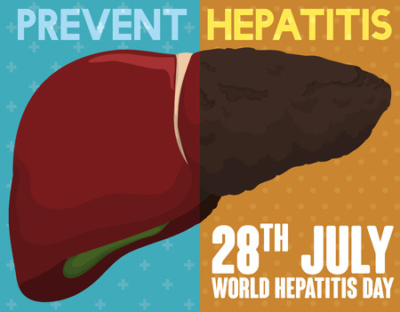 World Hepatitis Day Campaign comparing a healthy liver and sick one for this disease; always choose the prevention and care!のイラスト素材
