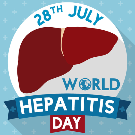 Poster in flat design with healthy liver and long shadows remembering you prevention and awareness in World Hepatitis Day.のイラスト素材