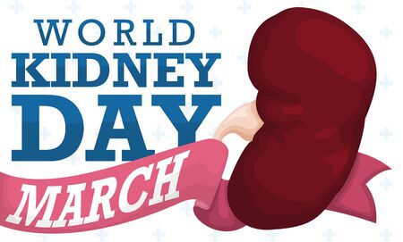 Banner with healthy kidney with the date of World Kidney Day in a pink ribbon, promoting awareness, care and prevention in kidney health issues.のイラスト素材