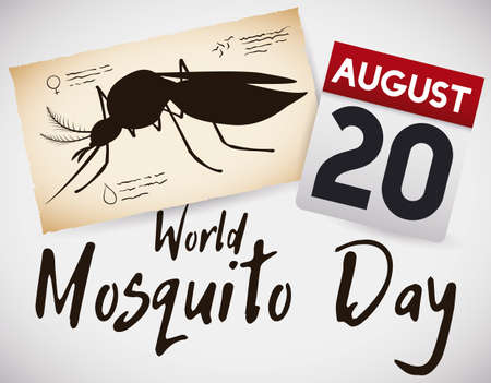 Commemorative poster with loose-leaf calendar and scientific notes of a female mosquito, transmitter of illness in World Mosquito Day.のイラスト素材