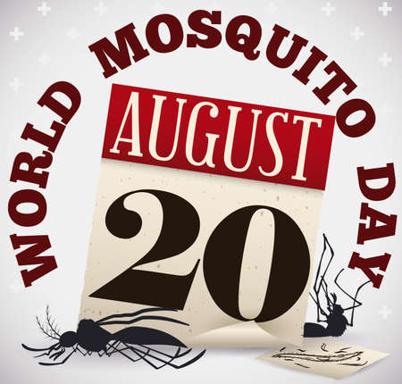 Poster with dead mosquitoes, old loose-leaf calendar and a draw of malaria's parasite to commemorate World Mosquito Day in August 20.のイラスト素材