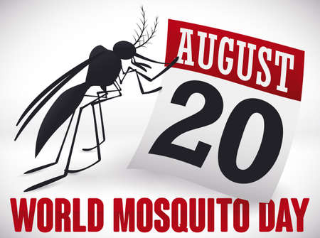 Poster with dark mosquito standing in a loose-leaf calendar with reminder date for World Mosquito Day.のイラスト素材
