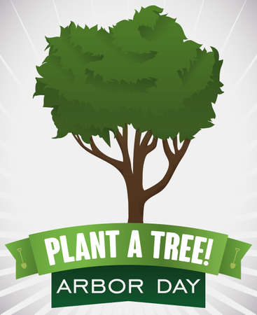 Poster with young tree growing up in Arbor Day and some ribbons with shovels silhouettes and greetings message promoting the tree-planting.のイラスト素材