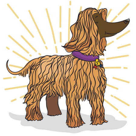 Elegant Afghan Hound dog posing and proud with medal for the first place in a contest.のイラスト素材