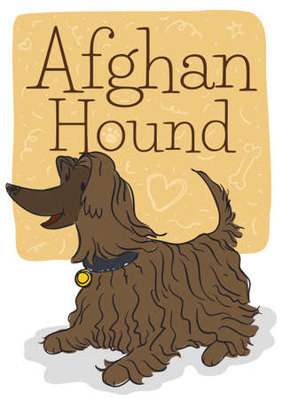 Cute well trained Afghan hound lying down waiting for its master with some funny doodles in a label.のイラスト素材