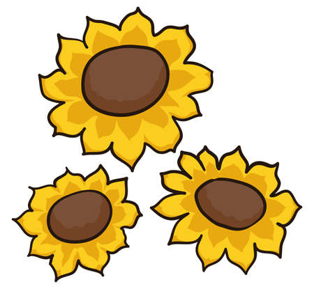 Three beautiful flowers with yellow petals and brown floret disk in cartoon style, isolated over white background.のイラスト素材