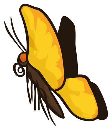 Isolated butterfly flying with its yellow wings, rolled proboscis in cartoon style.のイラスト素材