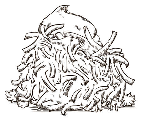 Tasty latke -a potato pancake in Jewish culture- covered with sour cream in hand drawn style.のイラスト素材