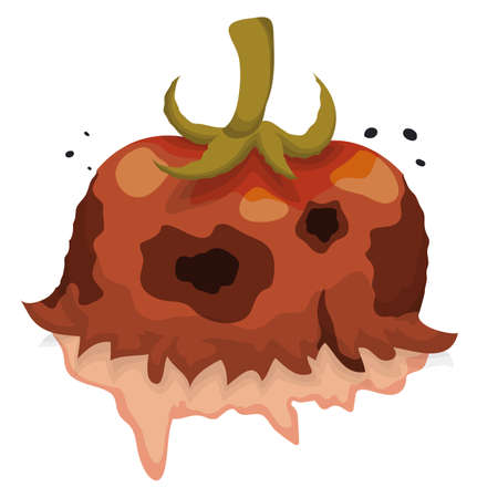 Rotten tomato crushed and sliced with some flies over decomposed juice, isolated over white background.のイラスト素材